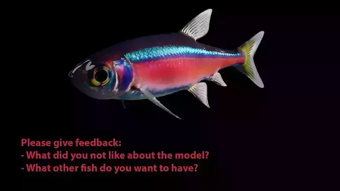 Neon Tetra Fish Free 3D model