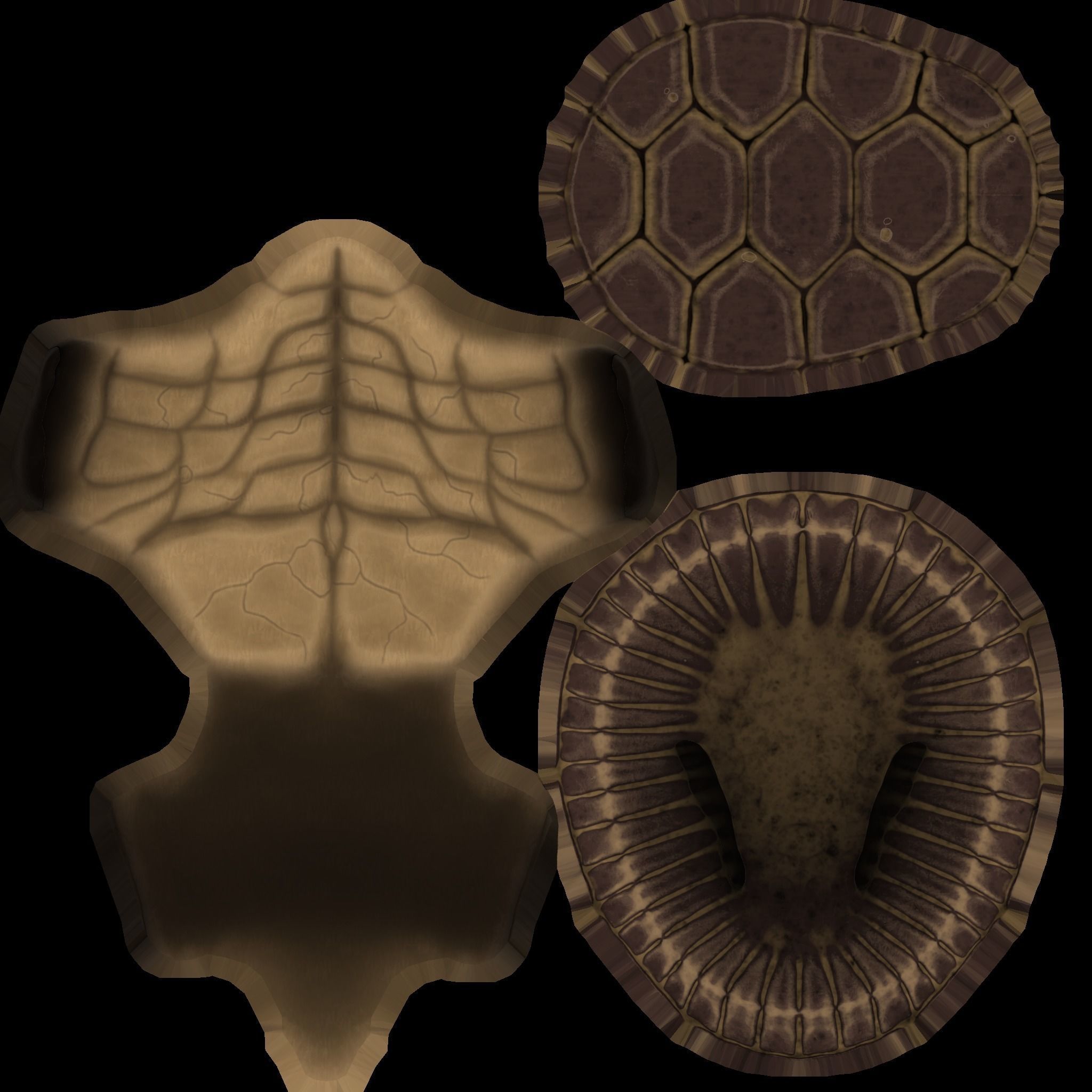 Leonardo Ninja Turtle Low-poly 3D model_8