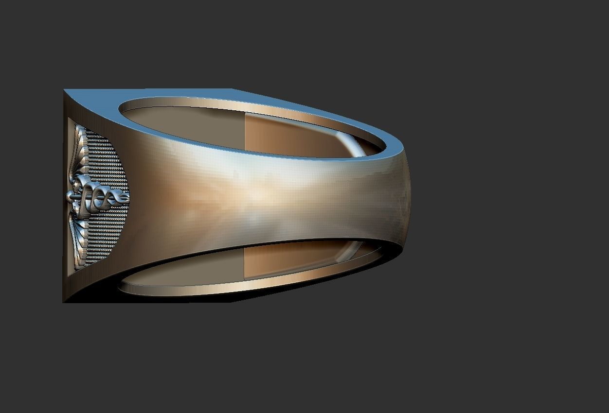 Caduceus Ouroboros Ring 3D print model_11