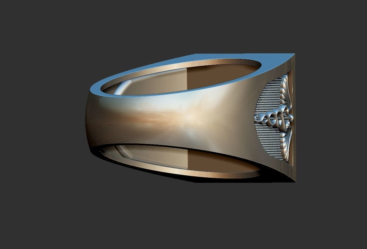 Caduceus Ouroboros Ring 3D print model_10