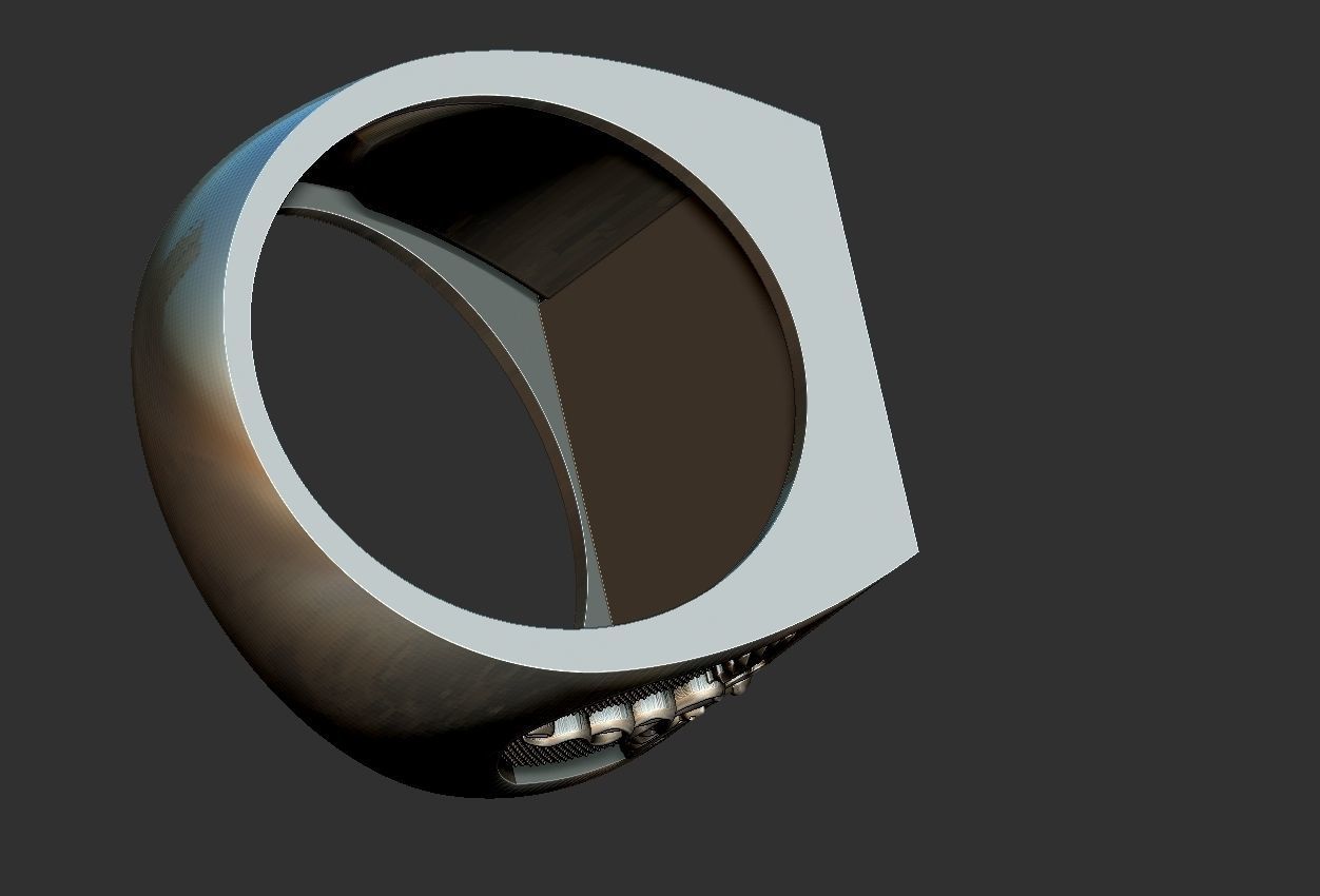 Caduceus Ouroboros Ring 3D print model_18