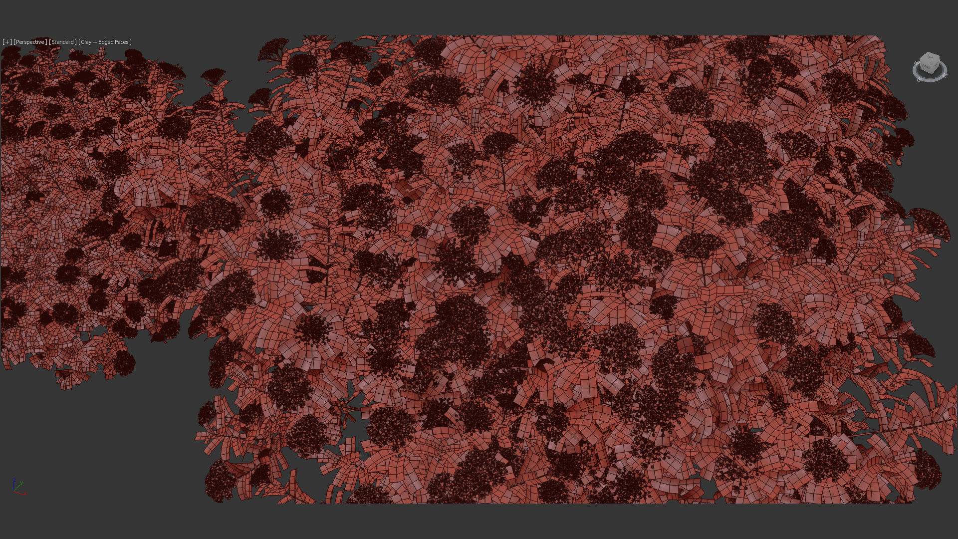 Viburnum tinus Laurustinus 3D model_14