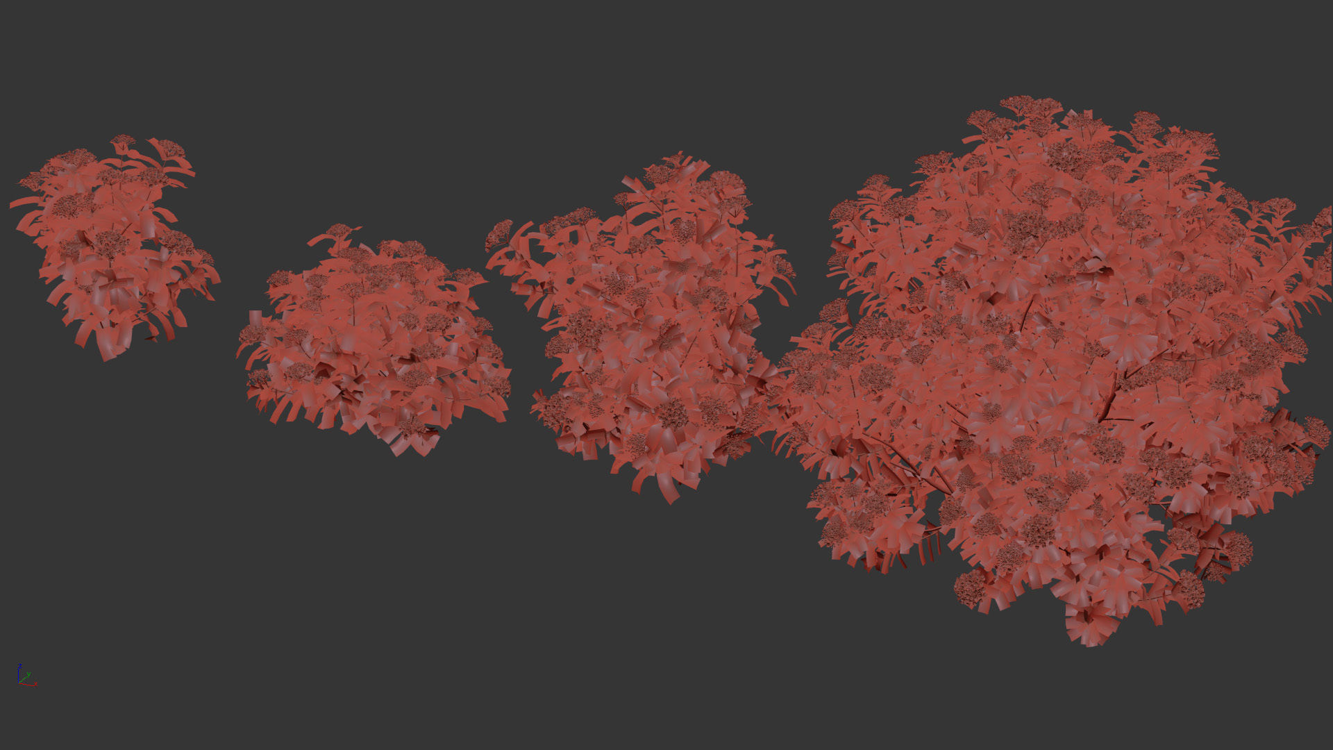 Viburnum tinus Laurustinus 3D model_9