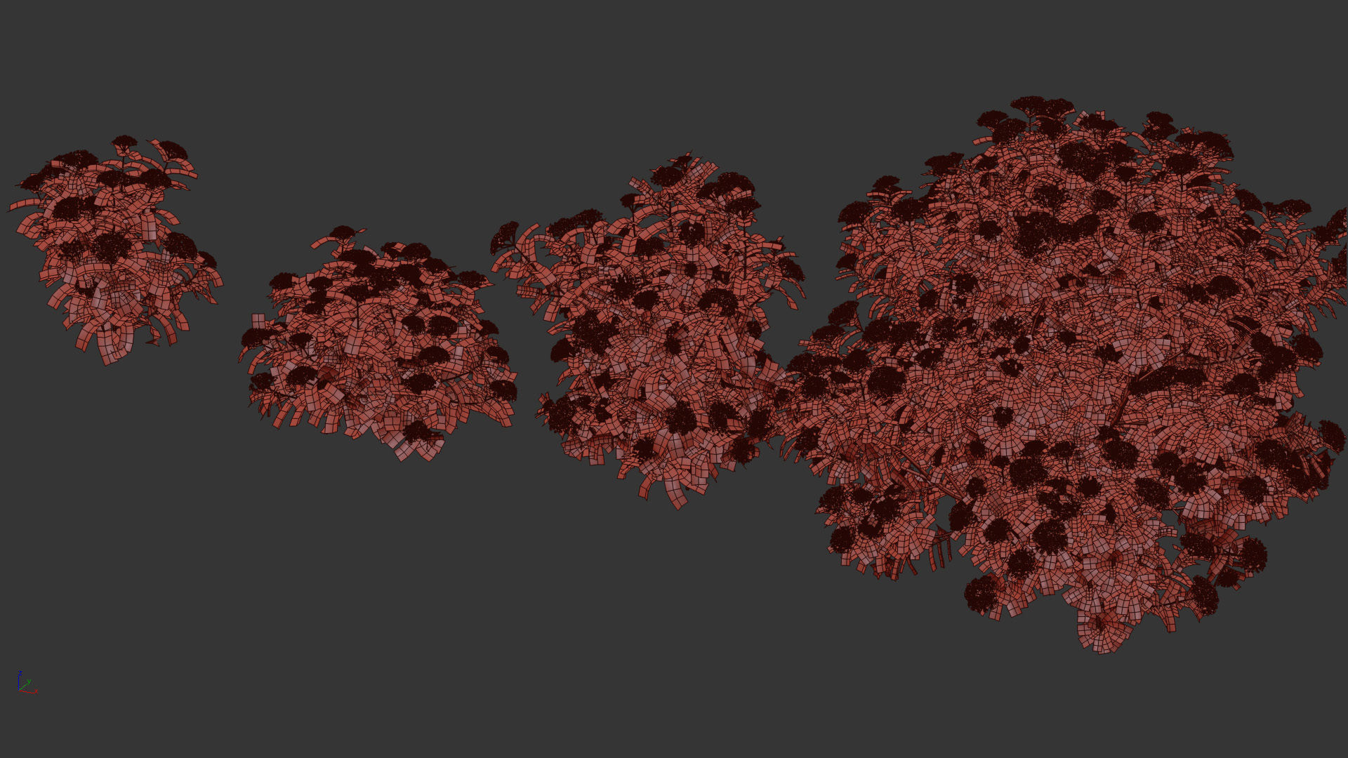 Viburnum tinus Laurustinus 3D model_10