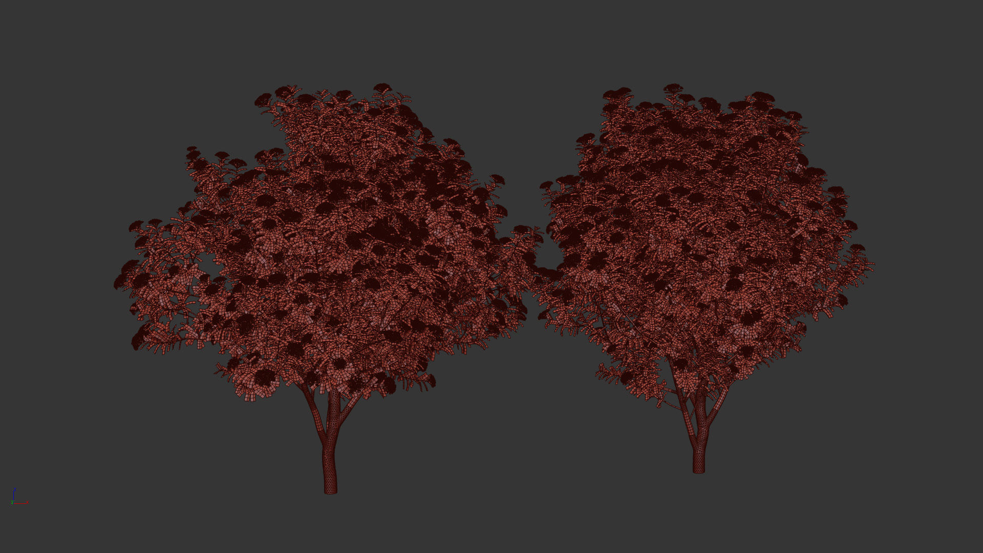 Viburnum tinus Laurustinus 3D model_12