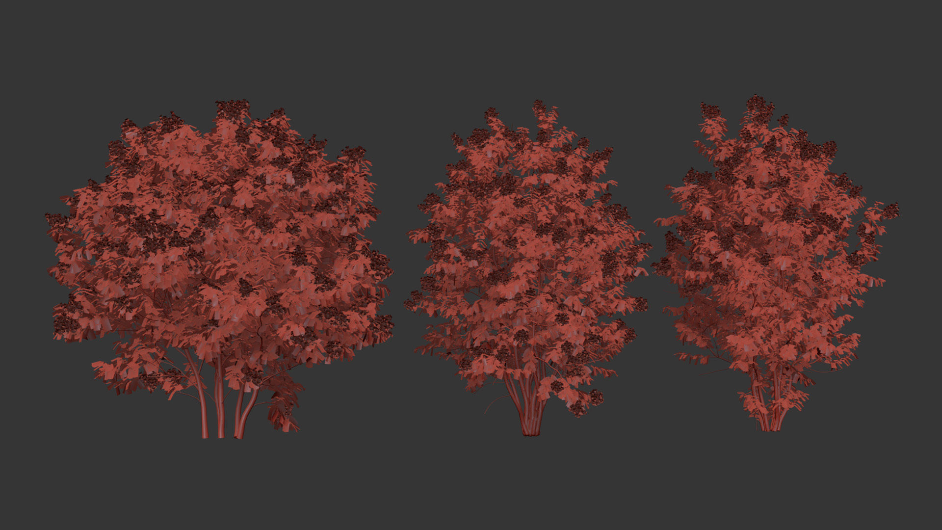 Syringa vulgaris Common lilac 3D model_9