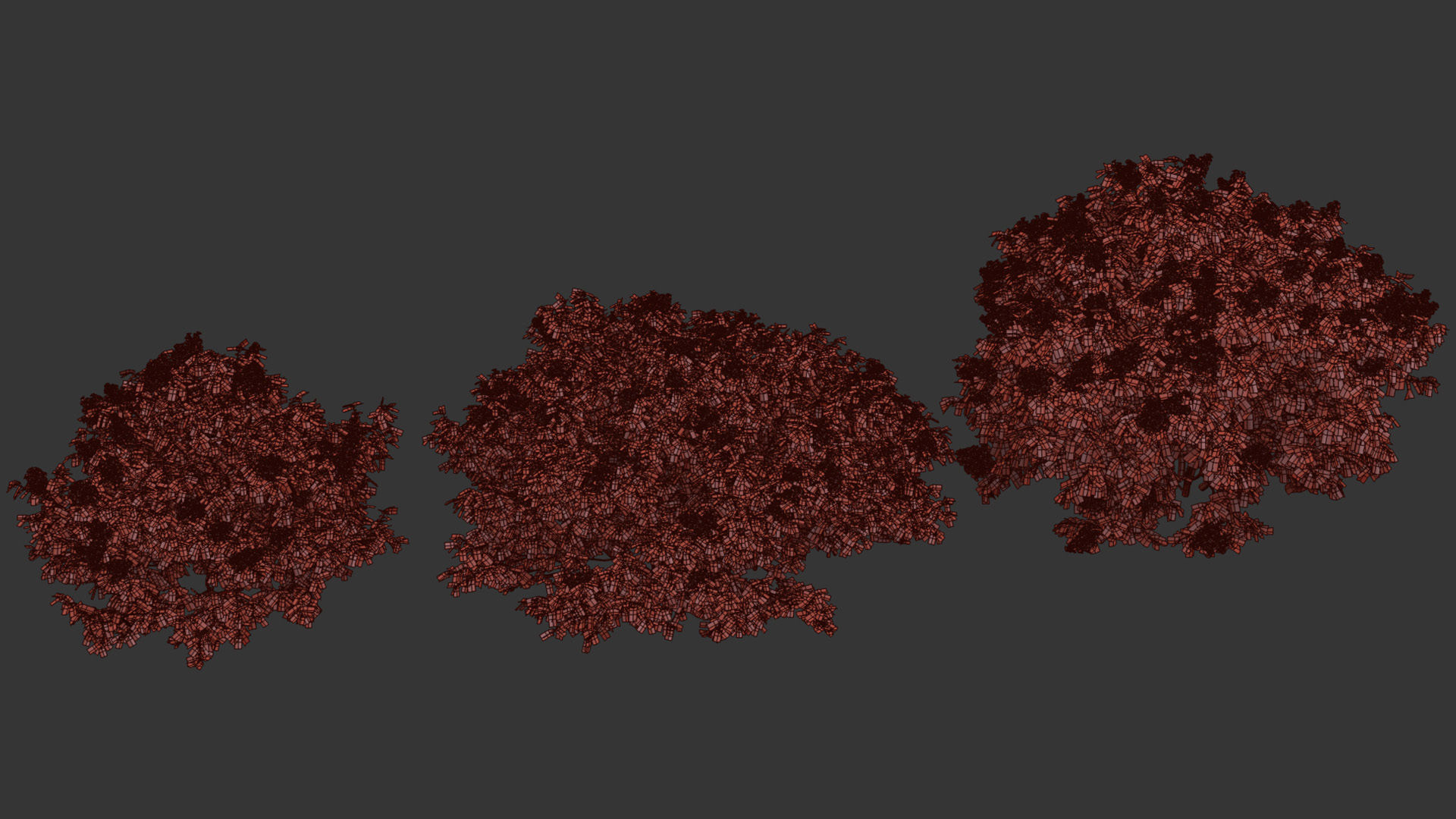 Syringa vulgaris Common lilac 3D model_12