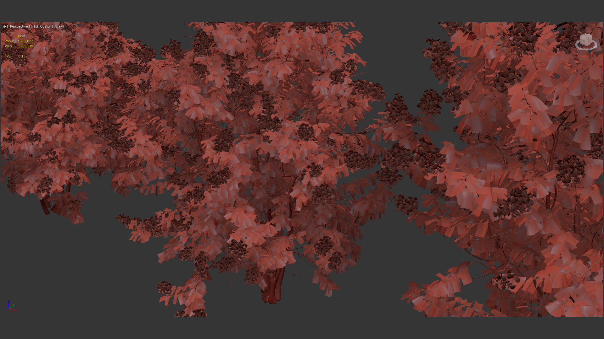 Syringa vulgaris Common lilac 3D model_13