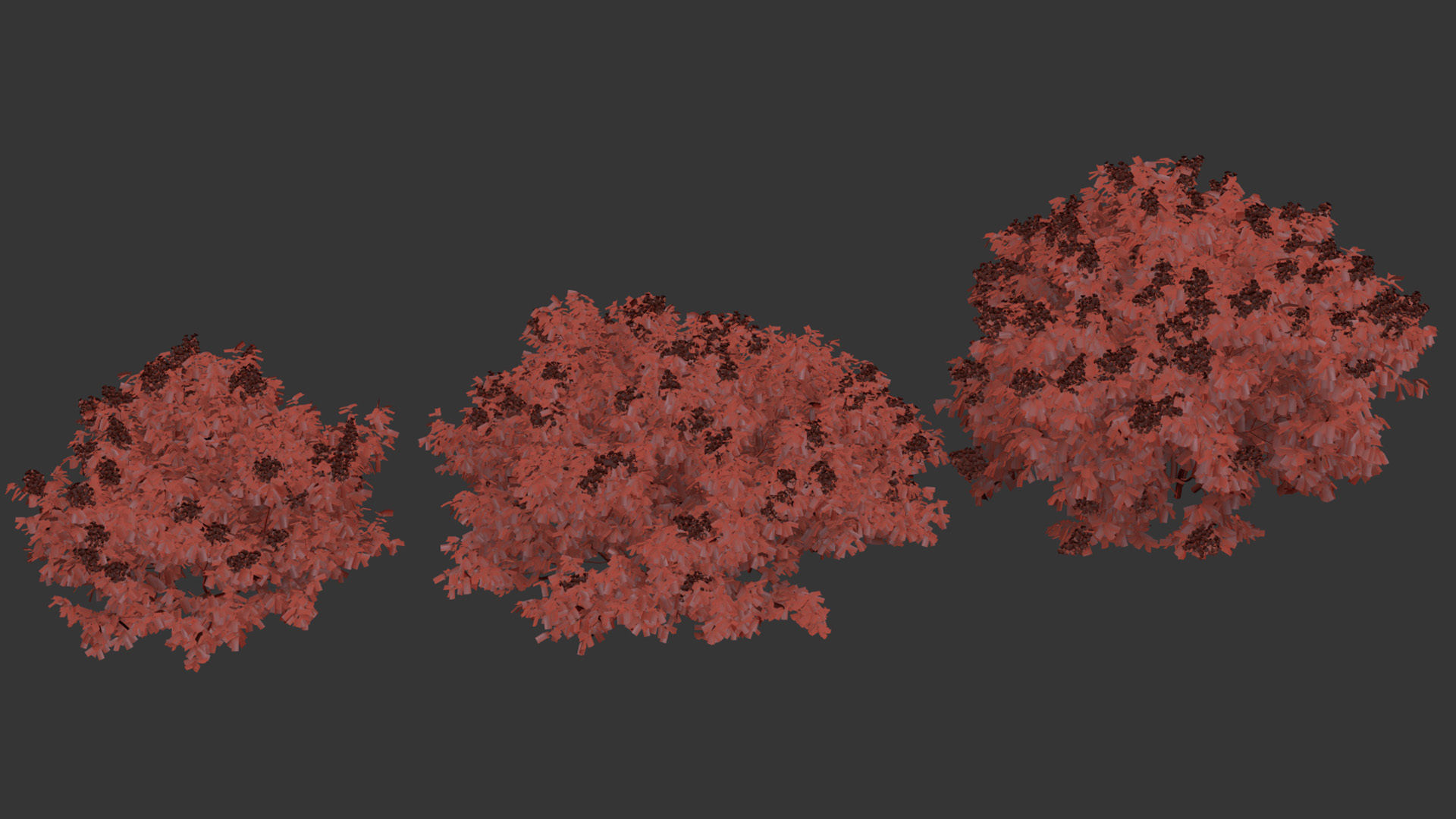 Syringa vulgaris Common lilac 3D model_11