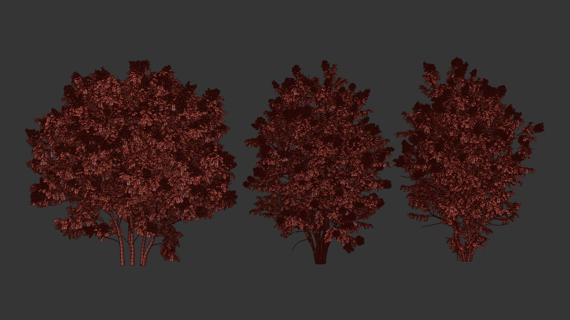 Syringa vulgaris Common lilac 3D model_10