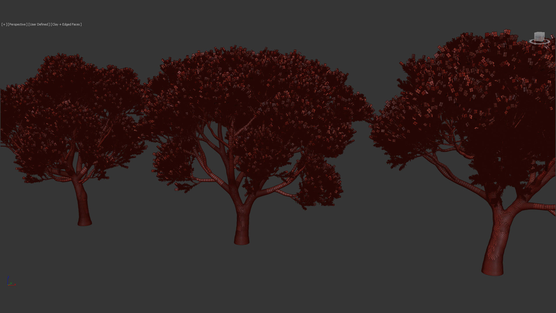 Melaleuca linariifolia Flax-Leaved Paper-Bark 3D model_12