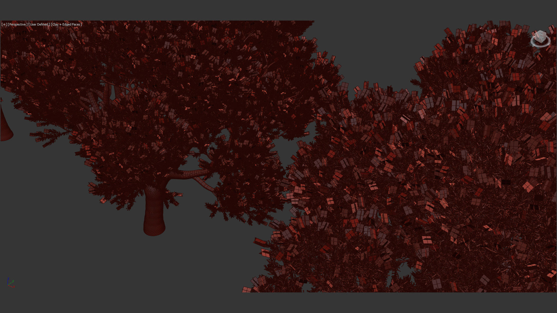 Melaleuca linariifolia Flax-Leaved Paper-Bark 3D model_14