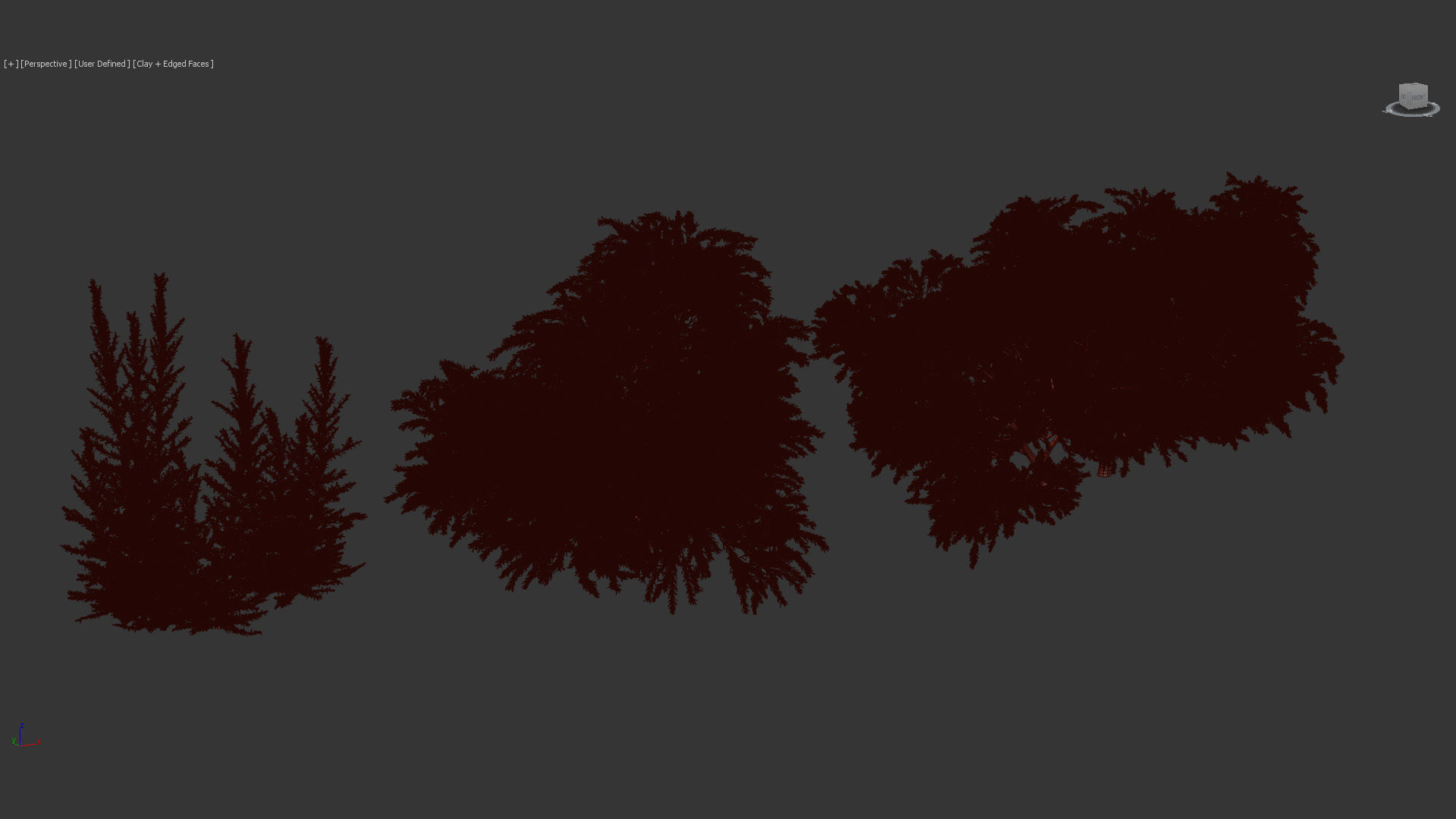 Melaleuca linariifolia Flax-Leaved Paper-Bark 3D model_10