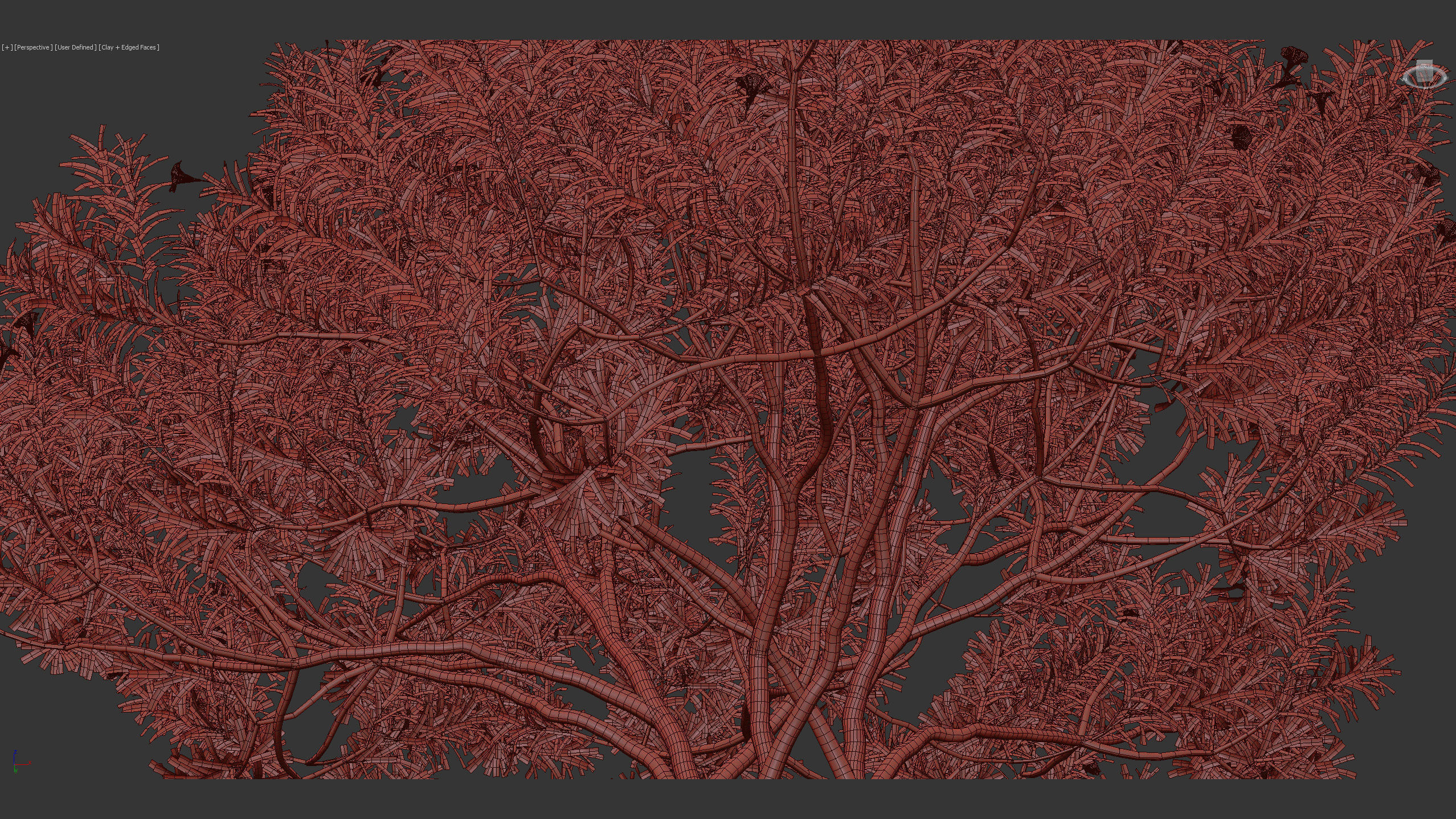 Cascabela thevetia Yellow oleander 3D model_14