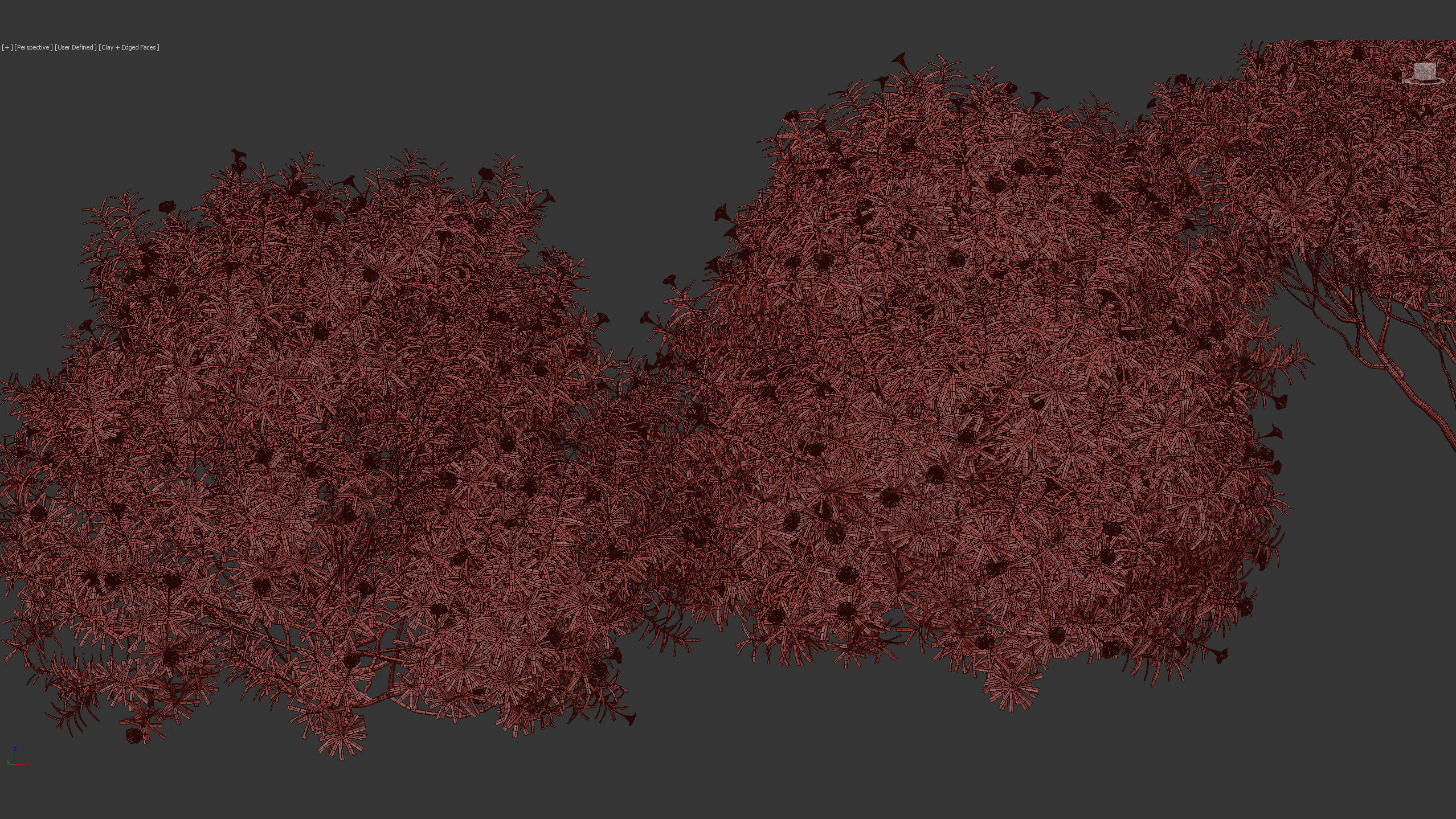 Cascabela thevetia Yellow oleander 3D model_12