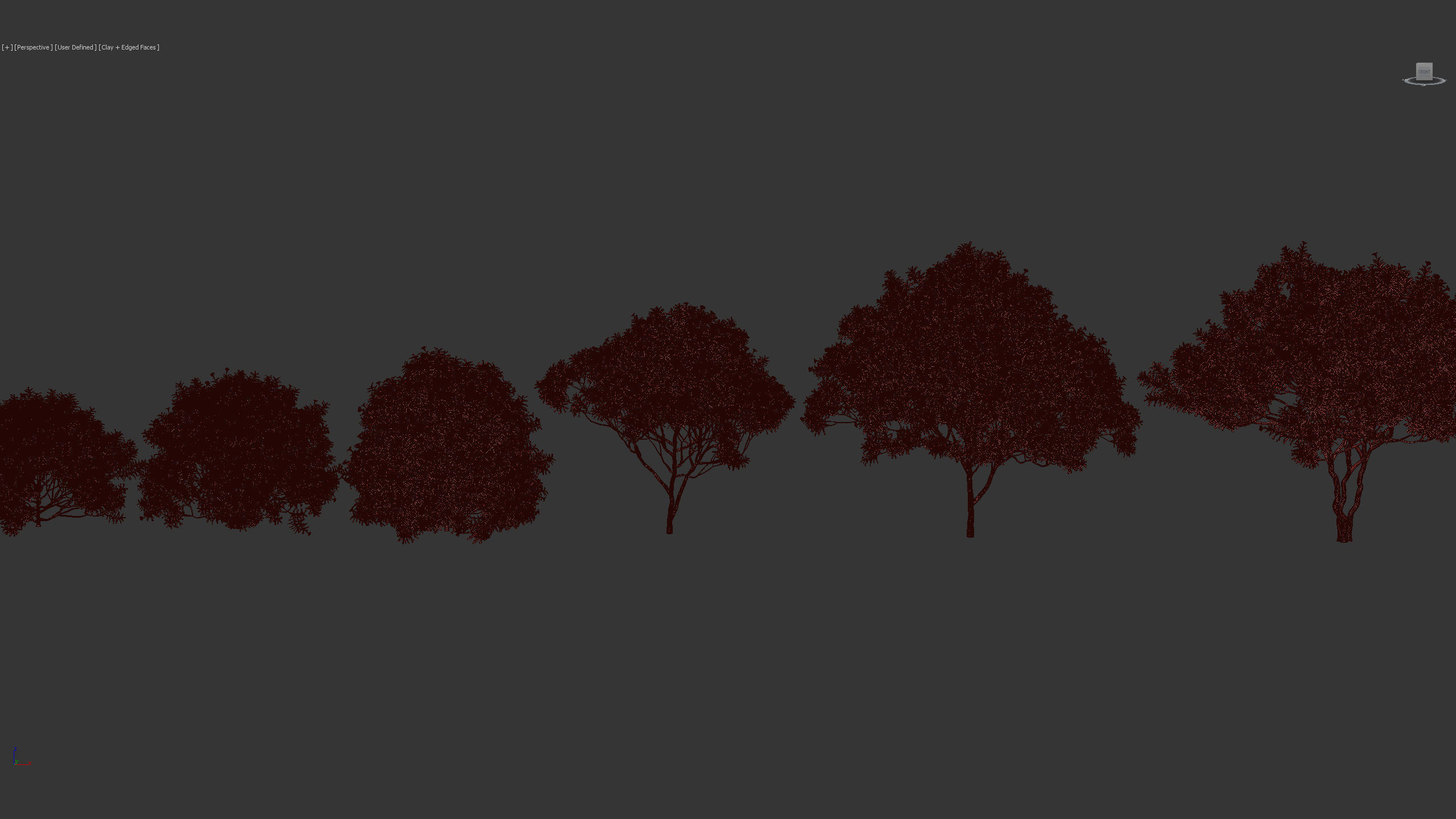 Cascabela thevetia Yellow oleander 3D model_10