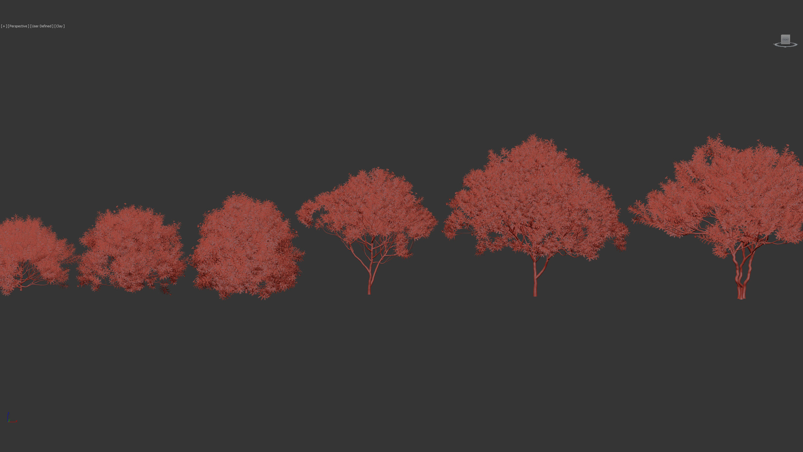 Cascabela thevetia Yellow oleander 3D model_9