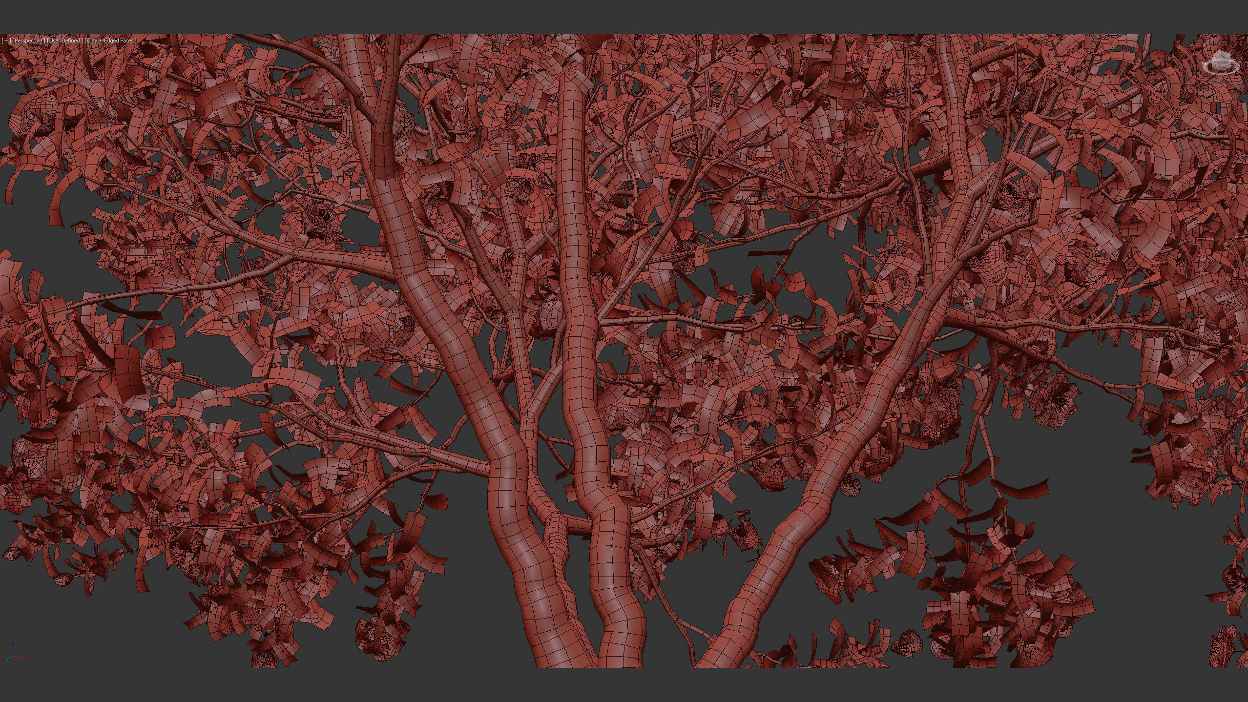 Camellia japonica Japanese camellia 3D model_14