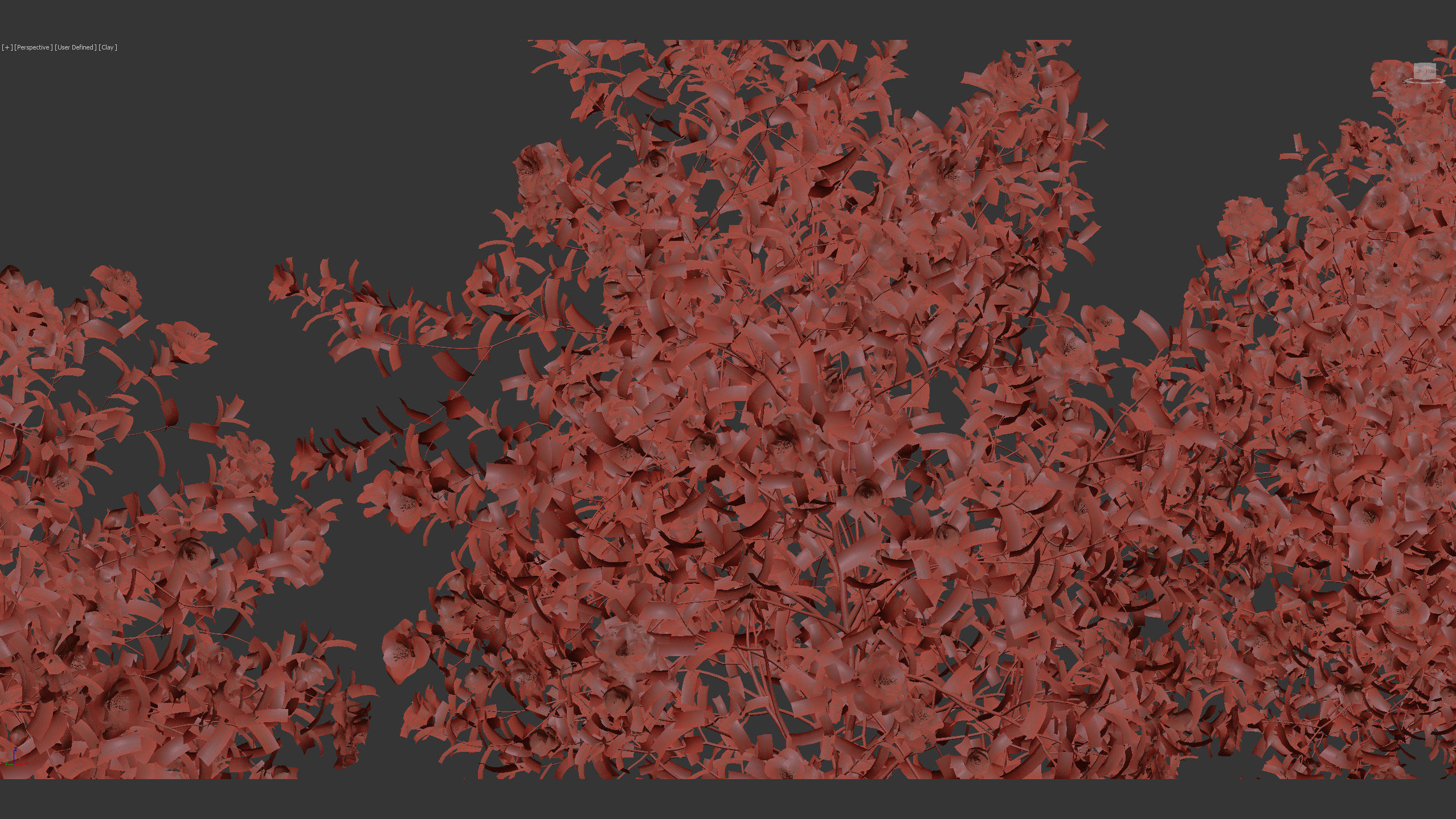 Camellia japonica Japanese camellia 3D model_11