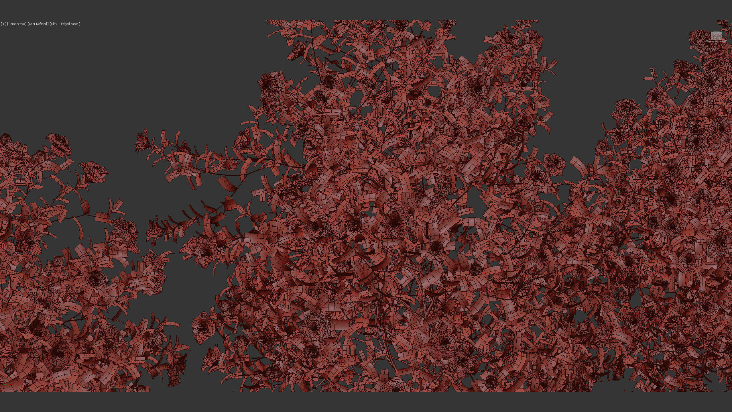 Camellia japonica Japanese camellia 3D model_12