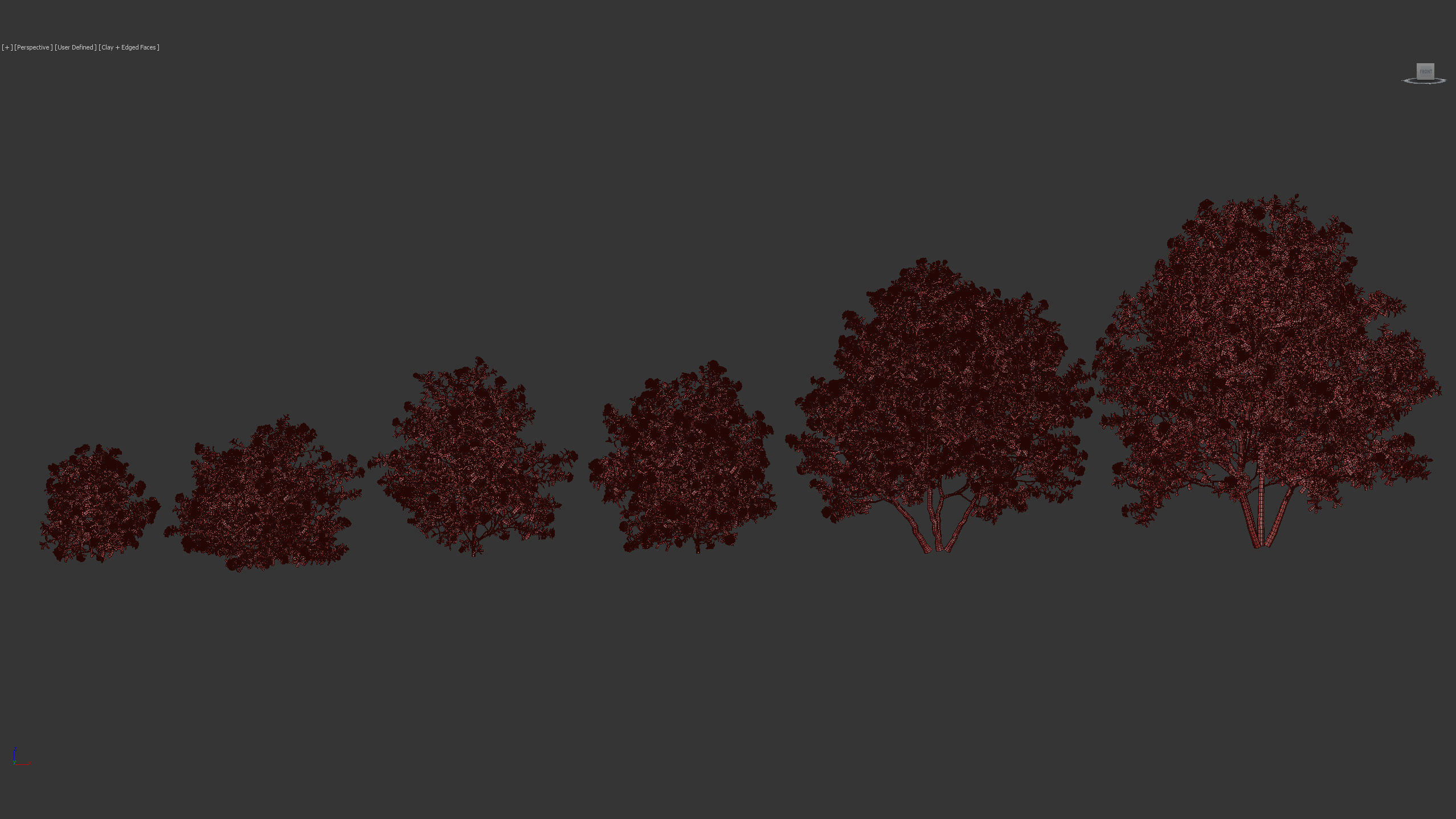 Camellia japonica Japanese camellia 3D model_10