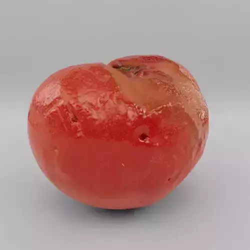 rotten tomato - photoscan