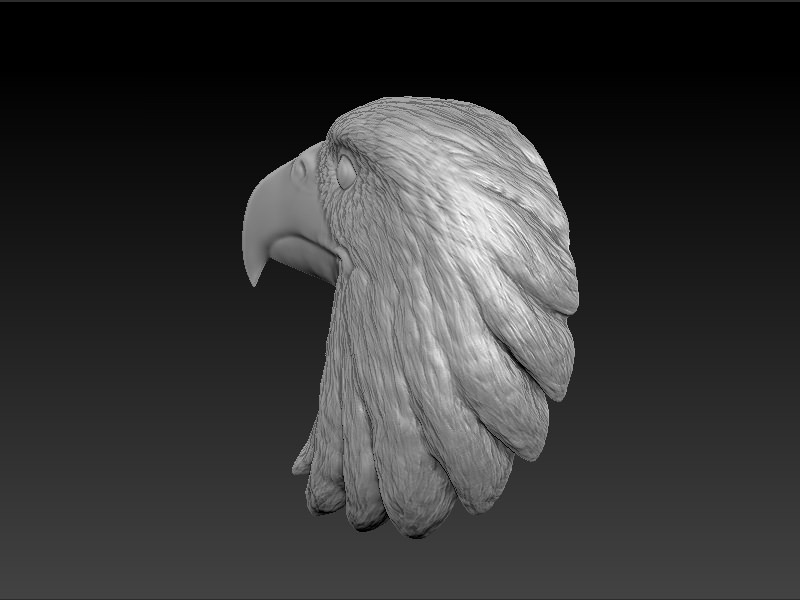 Eagle Head 3D print model_1