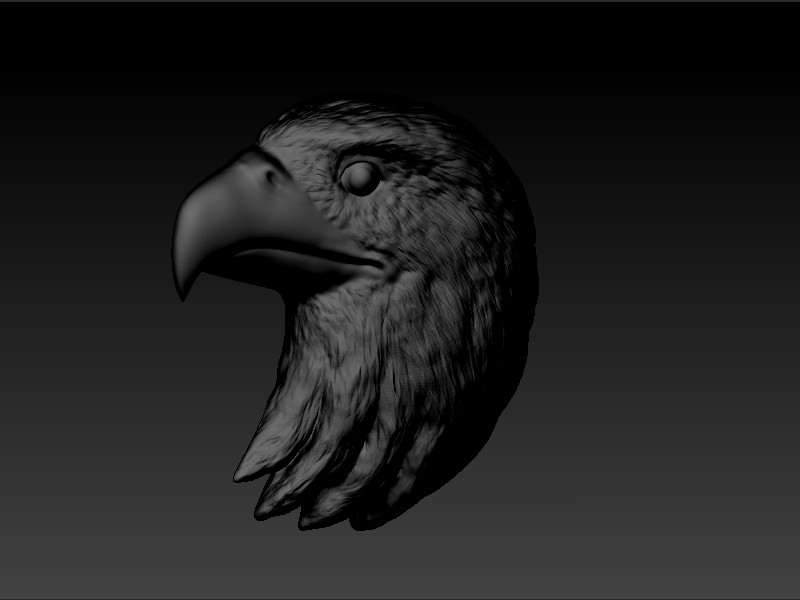 Eagle Head 3D print model_6