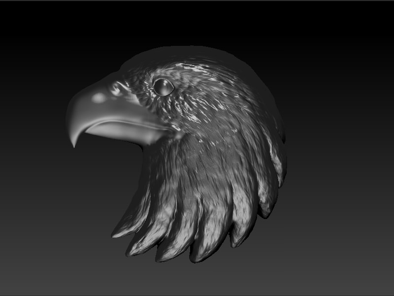 Eagle Head 3D print model_8