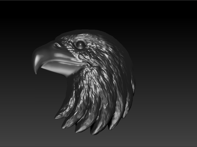 Eagle Head 3D print model_9