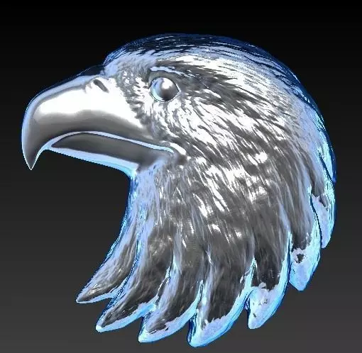 Eagle Head 3D print model_0