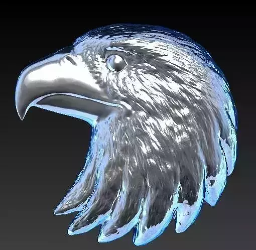 Eagle Head 3D print model