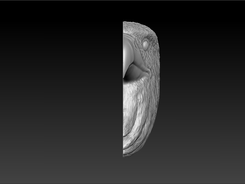 Eagle Head 3D print model_5