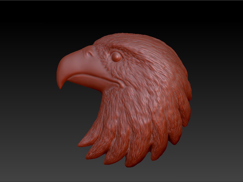 Eagle Head 3D print model_10