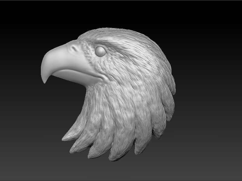 Eagle Head 3D print model_3