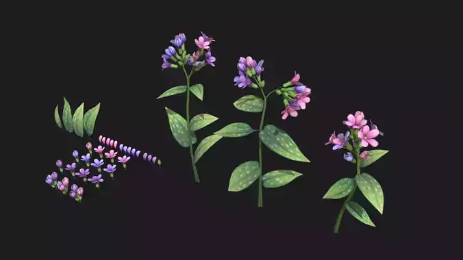 Lungwort stylized plant