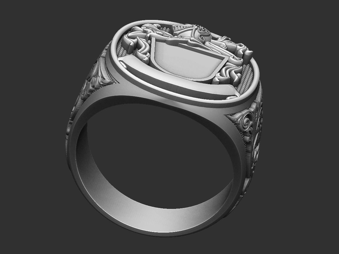 Coat of Arms Helmet Ring 3D print model_13
