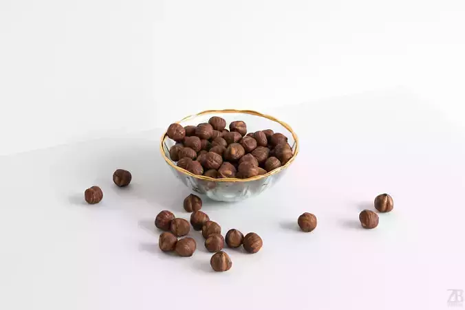 Hazelnut 3D model