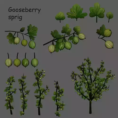 Gooseberry sprig stylized plant  Low-poly 3D model