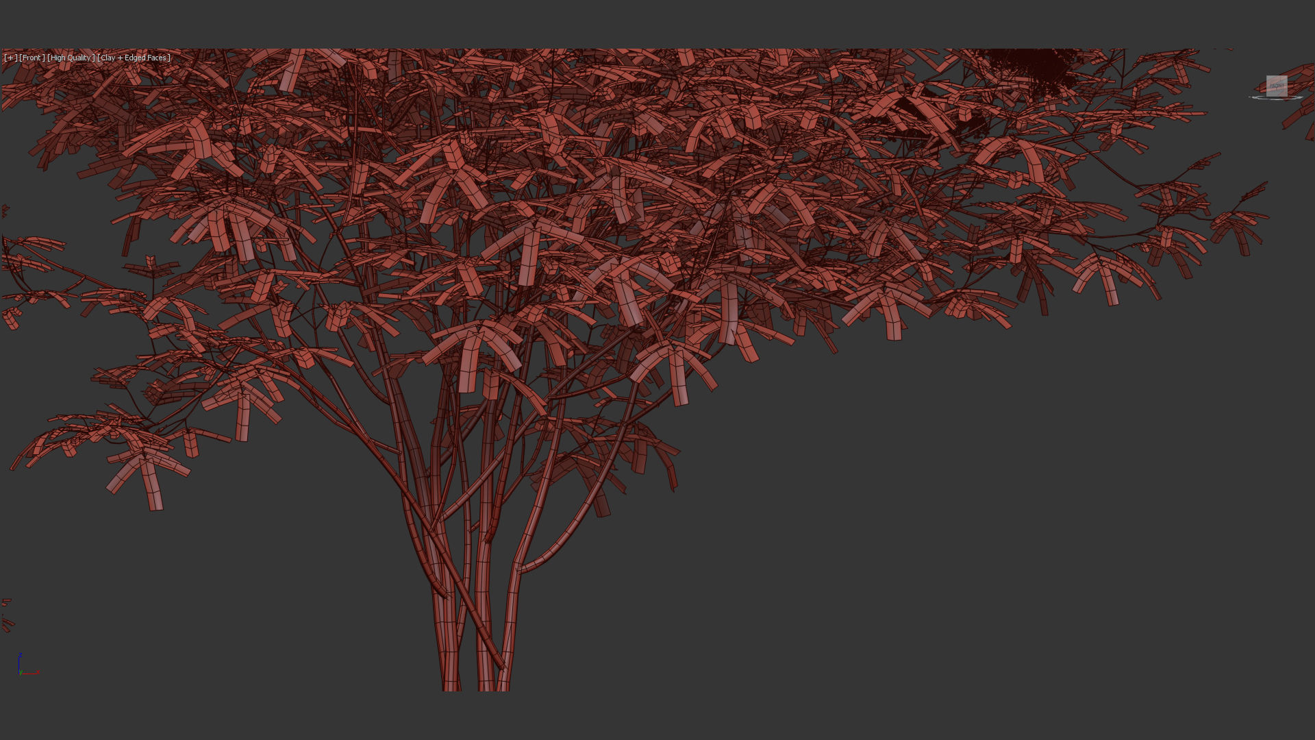 Sambucus nigra European elder 3D model_11