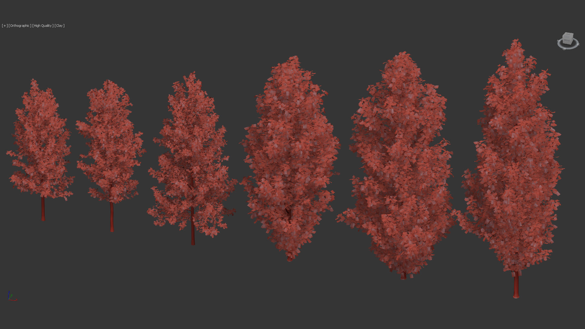 Populus nigra  Lombardy poplar 3D model_12