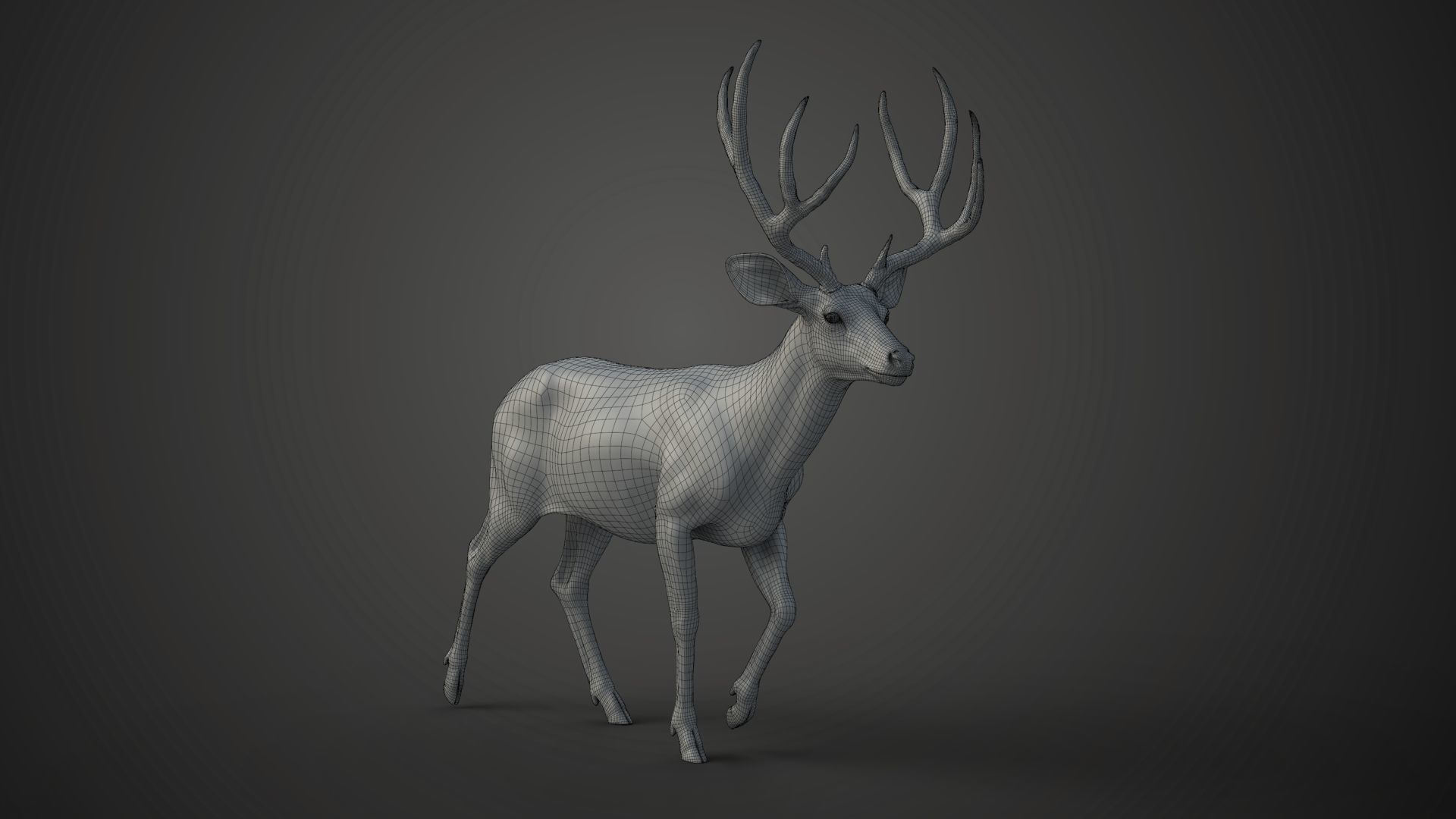 Mule Deer VFX Grace 3D model_26
