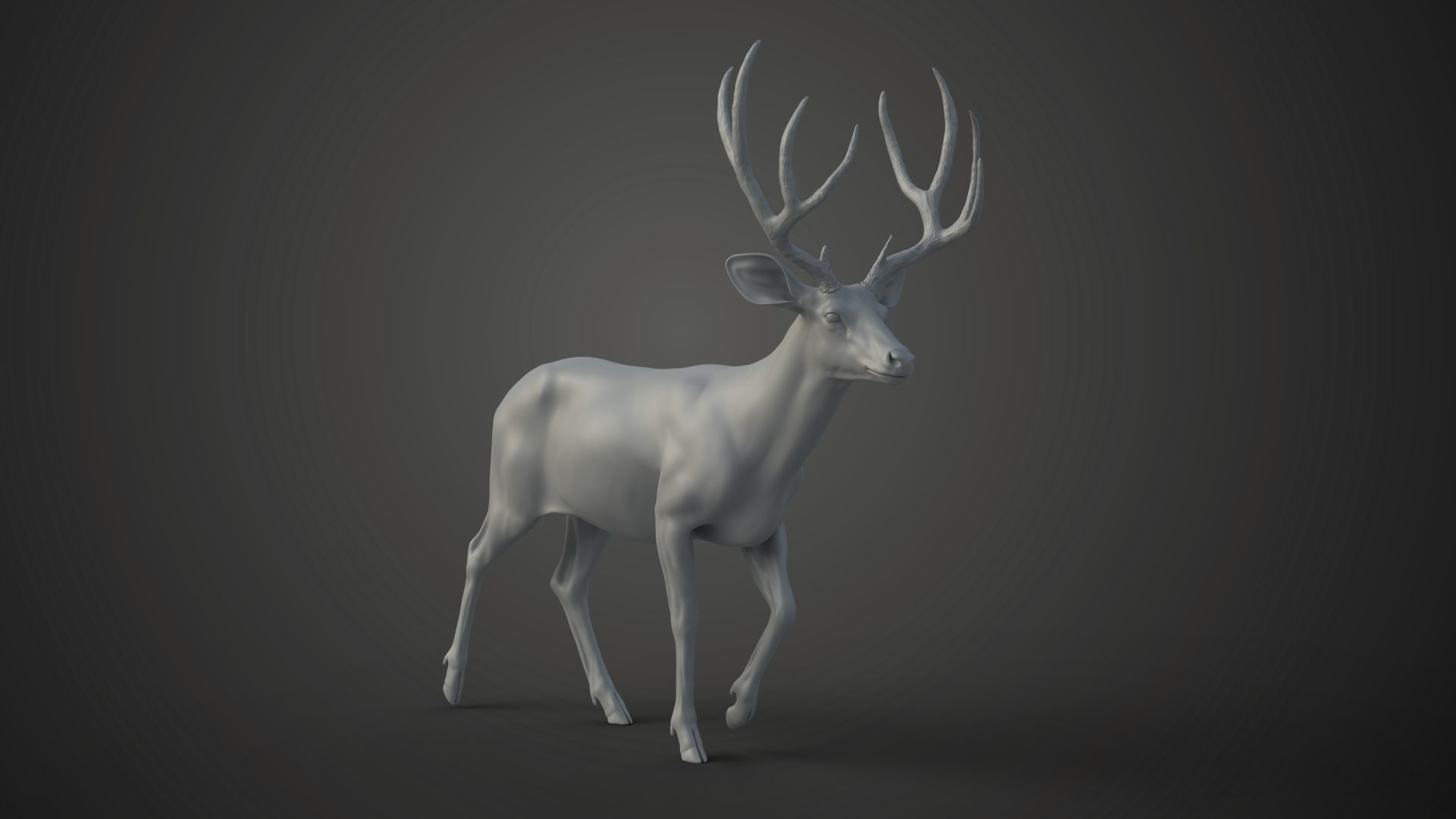Mule Deer VFX Grace 3D model_19