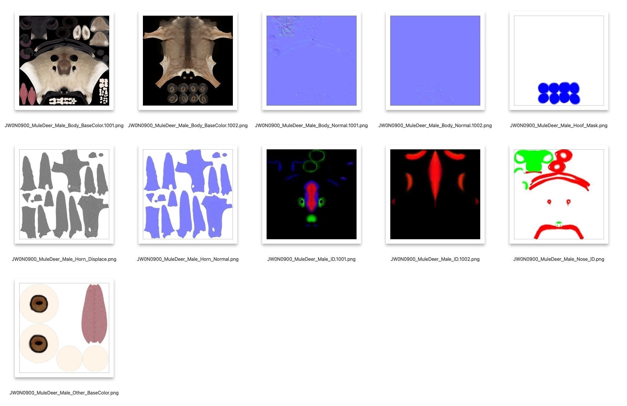 Mule Deer VFX Grace 3D model_32