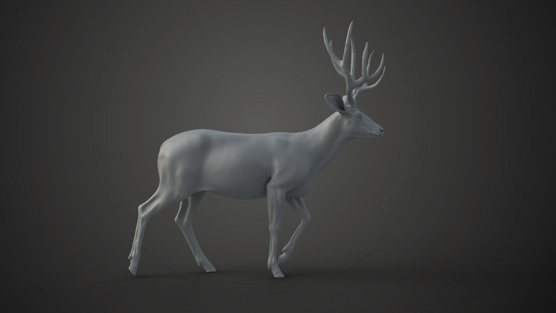 Mule Deer VFX Grace 3D model_20