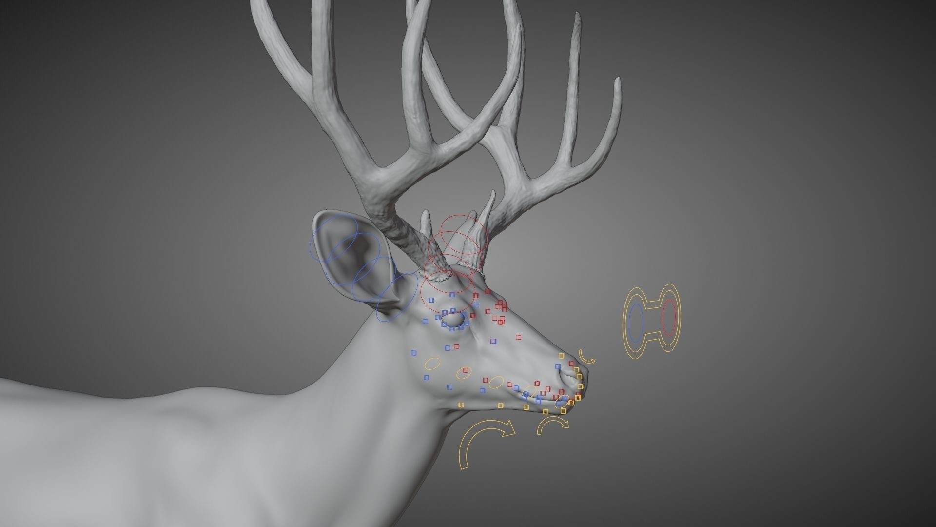 Mule Deer VFX Grace 3D model_24