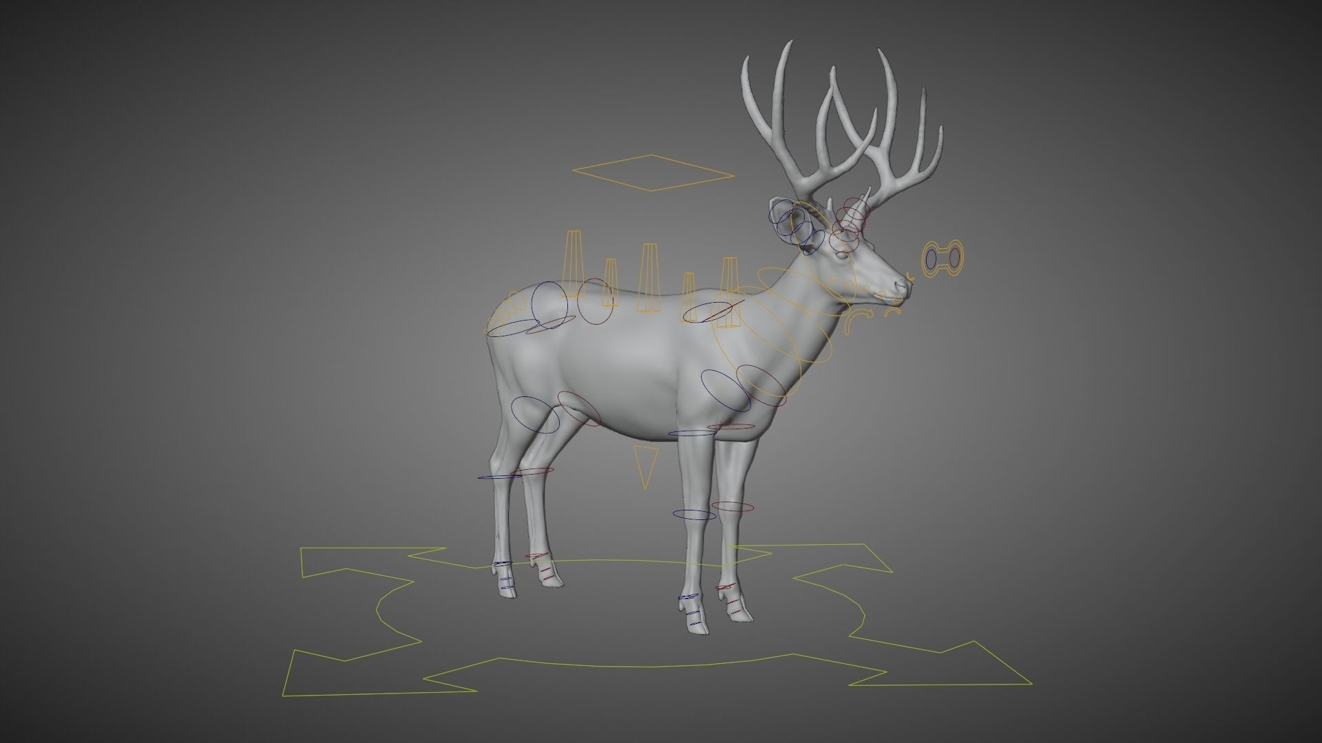 Mule Deer VFX Grace 3D model_23