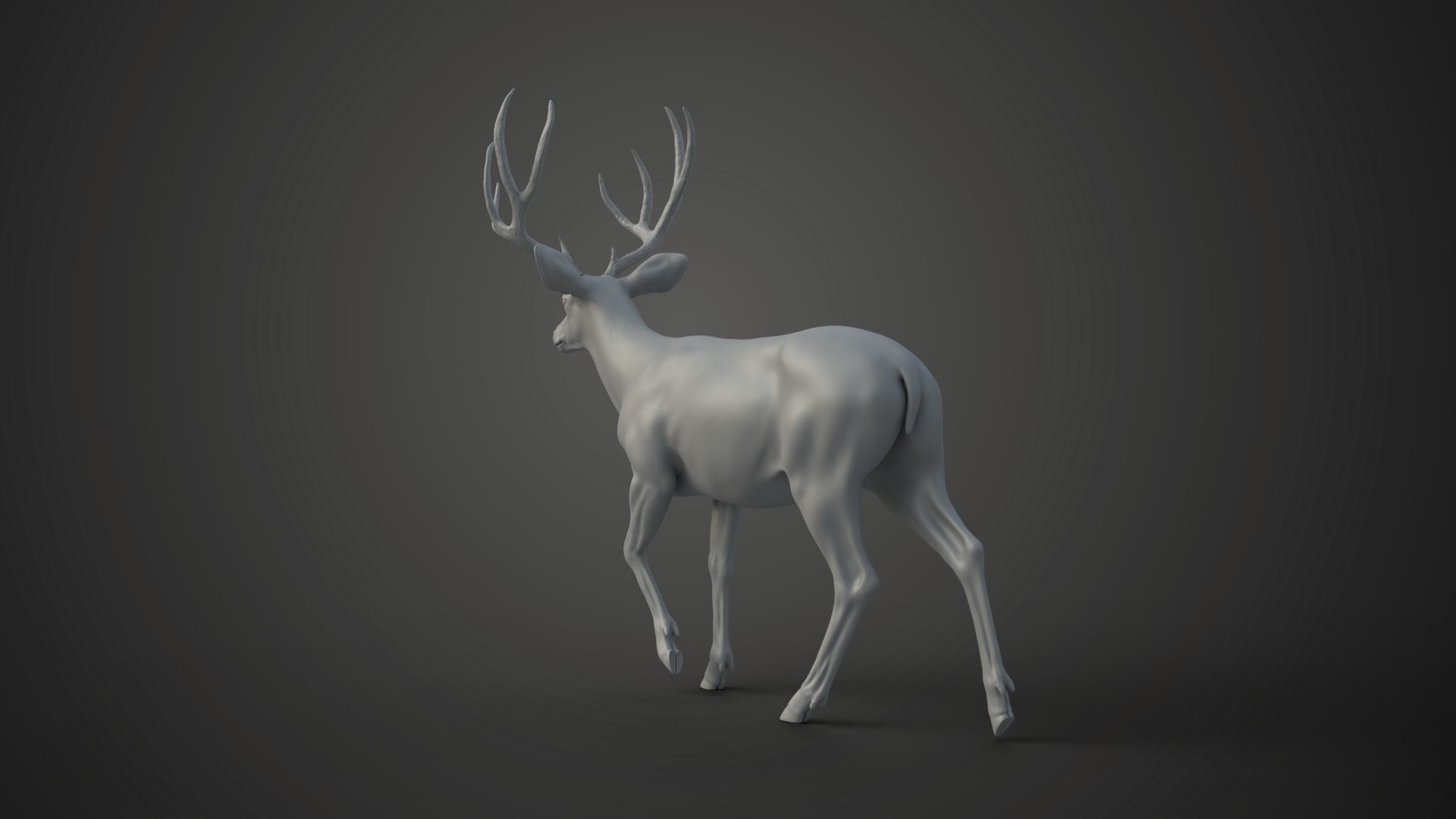 Mule Deer VFX Grace 3D model_21
