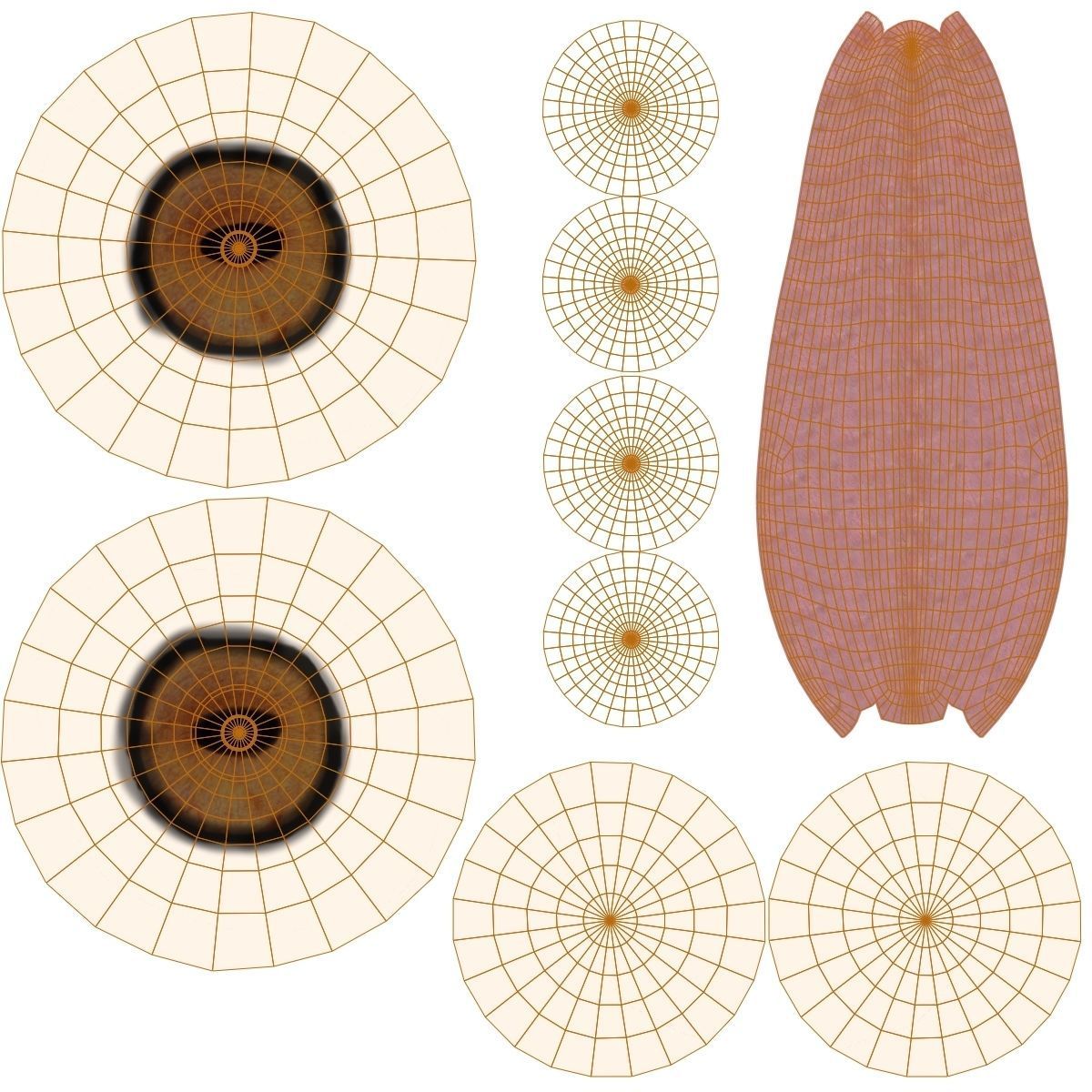 Mule Deer VFX Grace 3D model_31