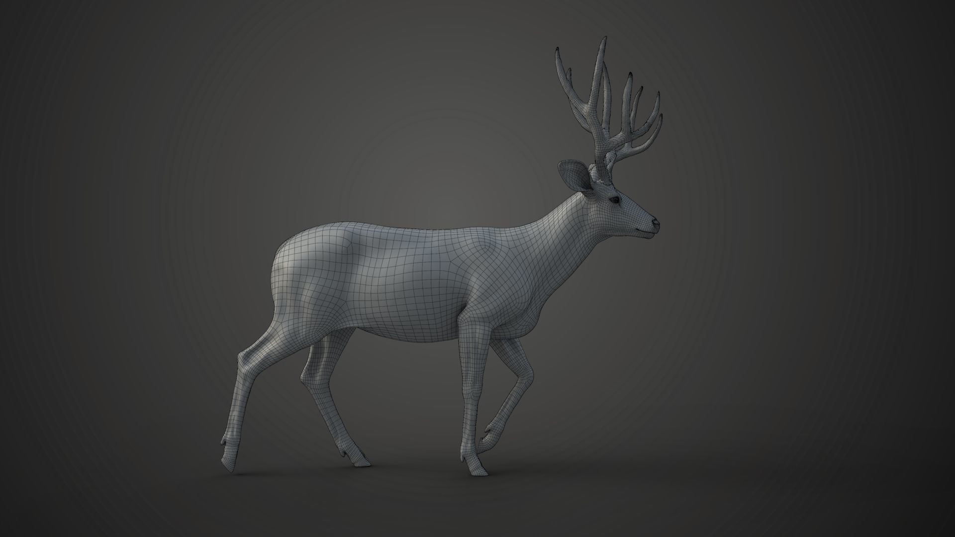 Mule Deer VFX Grace 3D model_27